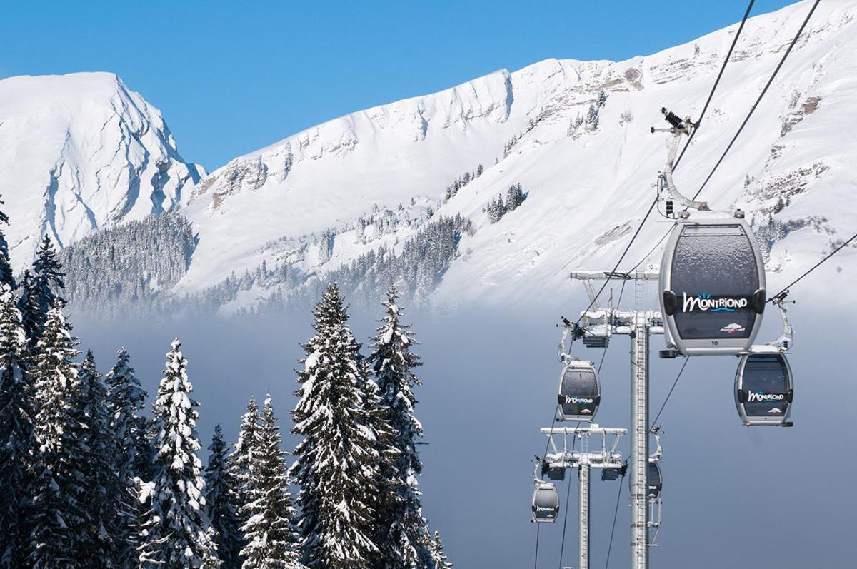 Chalet Adonis - Montriond, Morzine, Avoriaz ภายนอก รูปภาพ